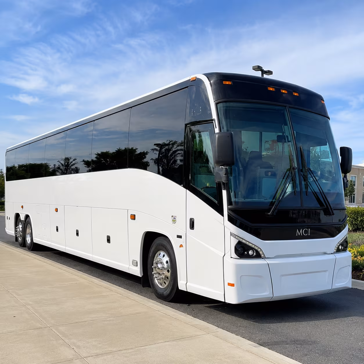 pub crawls brewery tours and night out transportation across pinellas